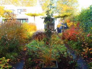 Tuin nazomer Udenhout