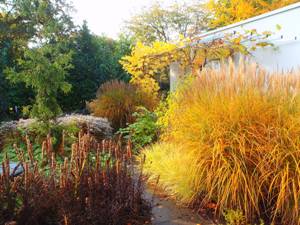 Tuin najaar Oisterwijk