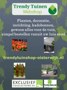 Flyer webshop